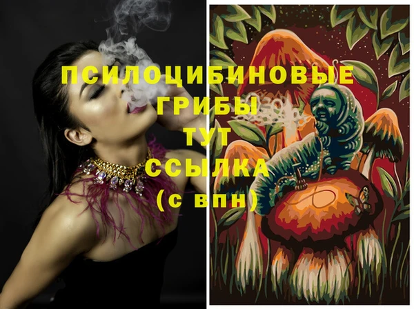 синтетический гашиш Арсеньев